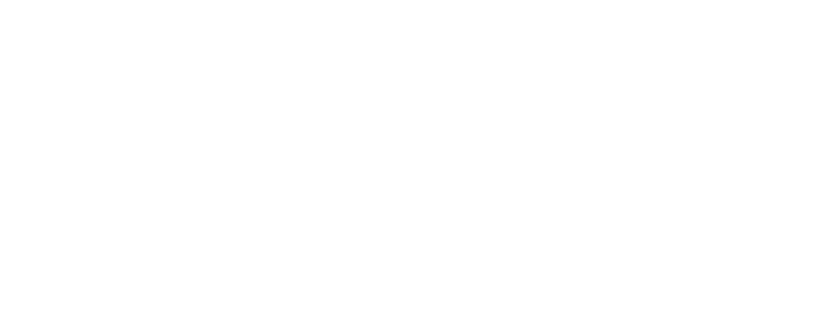 lexora-copy (1)