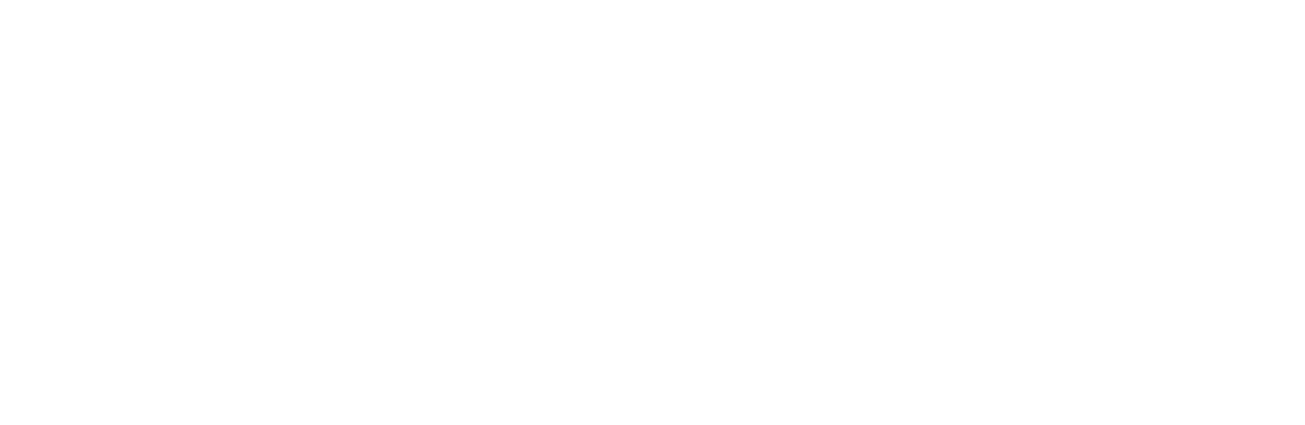 norsina-copy (1)