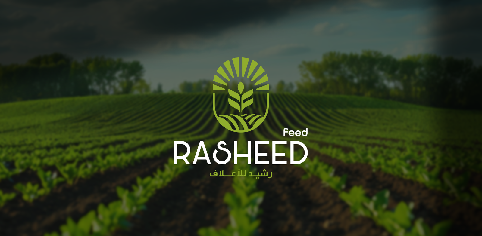 Rasheed