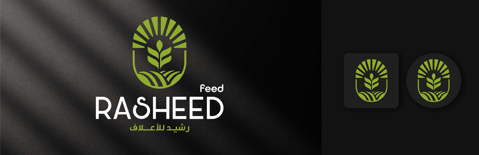 Rasheed