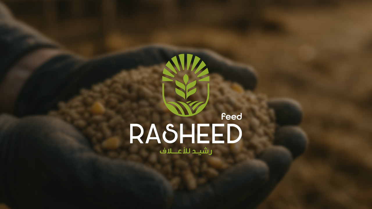 Rasheed